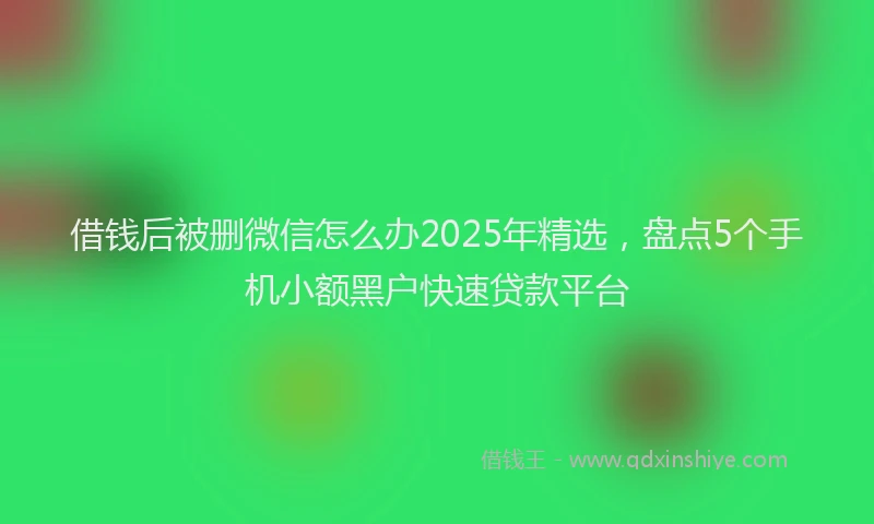 借钱后被删微信怎么办2025年精选，盘点5个手机小额黑户快速贷款平台