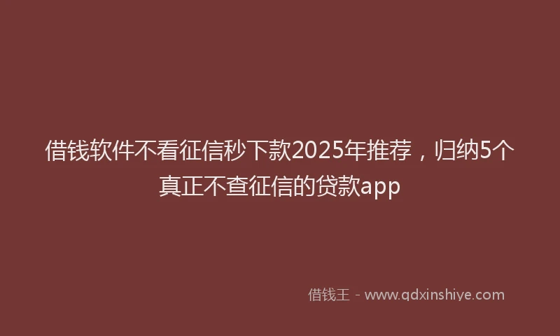 借钱软件不看征信秒下款2025年推荐，归纳5个真正不查征信的贷款app