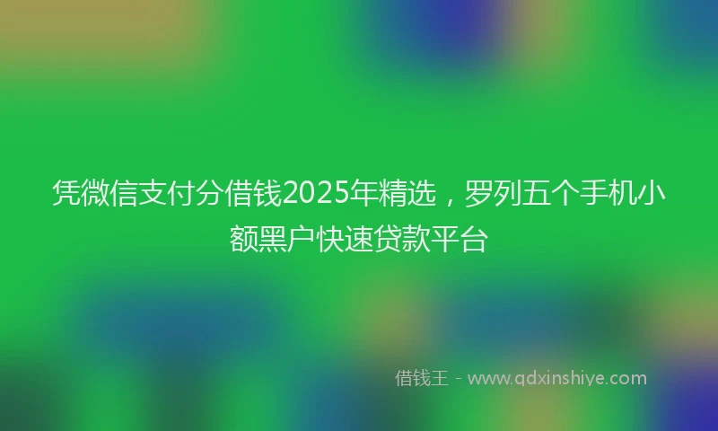 凭微信支付分借钱2025年精选，罗列五个手机小额黑户快速贷款平台