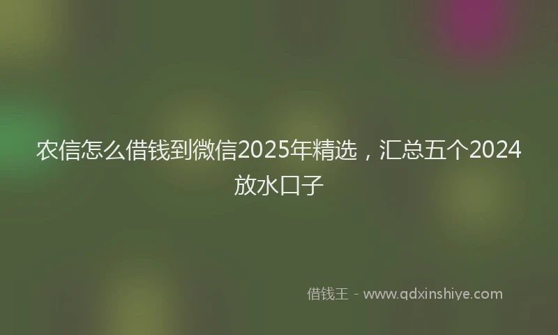 农信怎么借钱到微信2025年精选，汇总五个2024放水口子