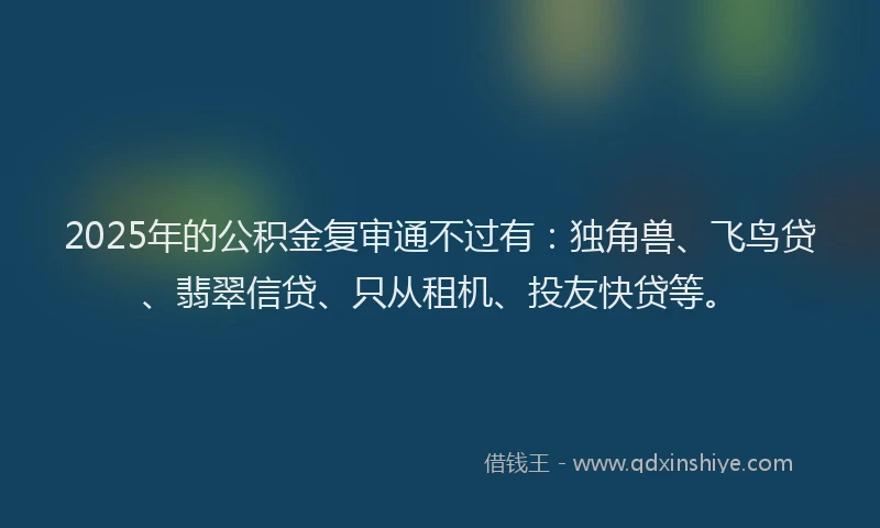 2025年的公积金复审通不过有：独角兽、飞鸟贷、翡翠信贷、只从租机、投友快贷等。