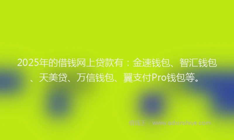 2025年的借钱网上贷款有：金速钱包、智汇钱包、天美贷、万信钱包、翼支付Pro钱包等。