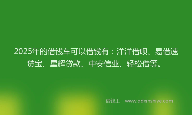 2025年的借钱车可以借钱有：洋洋借呗、易借速贷宝、星辉贷款、中安信业、轻松借等。