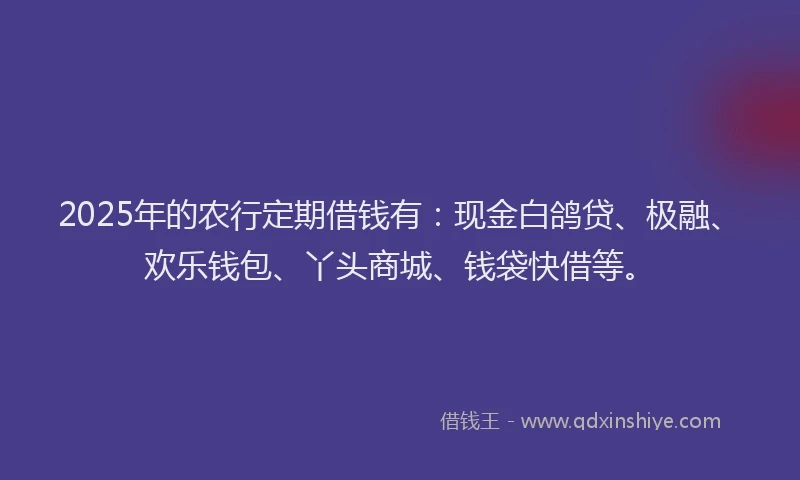 2025年的农行定期借钱有：现金白鸽贷、极融、欢乐钱包、丫头商城、钱袋快借等。
