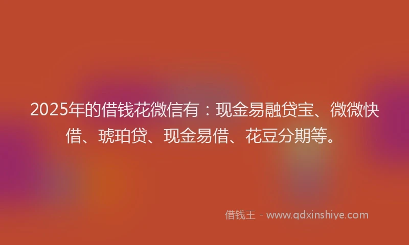 2025年的借钱花微信有：现金易融贷宝、微微快借、琥珀贷、现金易借、花豆分期等。