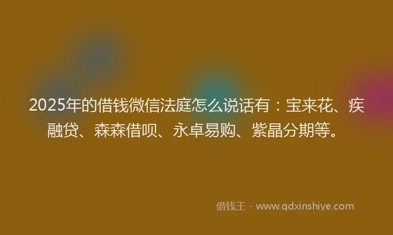2025年的借钱微信法庭怎么说话有：宝来花、疾融贷、森森借呗、永卓易购、紫晶分期等。