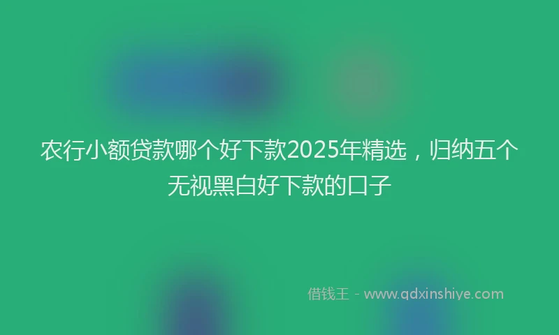 农行小额贷款哪个好下款2025年精选，归纳五个无视黑白好下款的口子