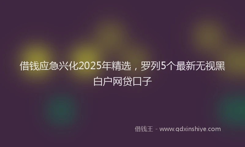 借钱应急兴化2025年精选，罗列5个最新无视黑白户网贷口子