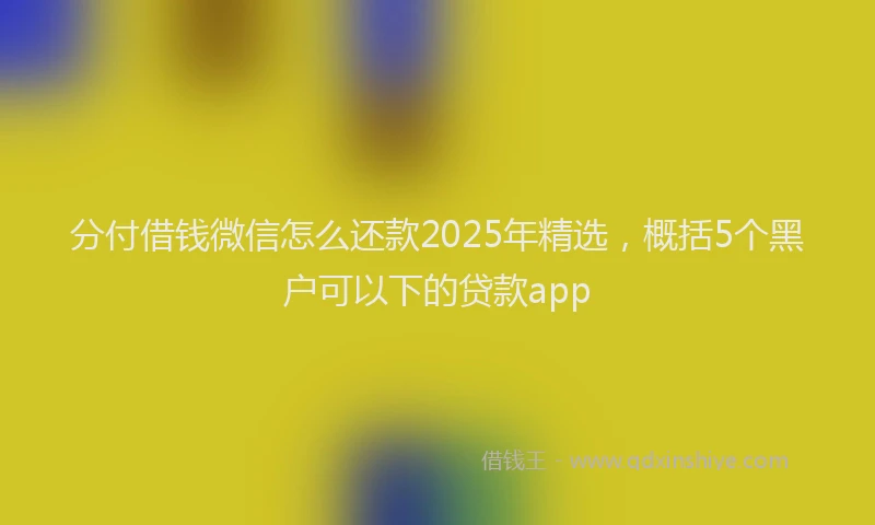 分付借钱微信怎么还款2025年精选，概括5个黑户可以下的贷款app
