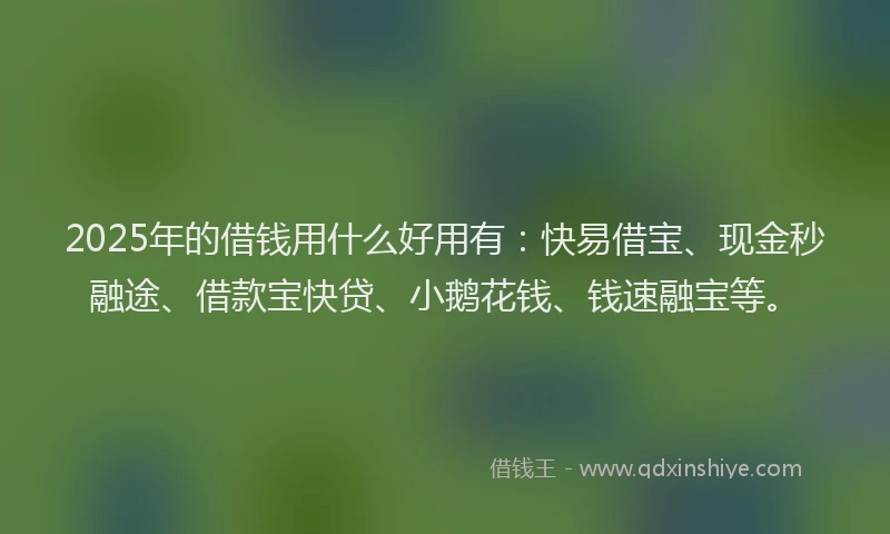 2025年的借钱用什么好用有：快易借宝、现金秒融途、借款宝快贷、小鹅花钱、钱速融宝等。