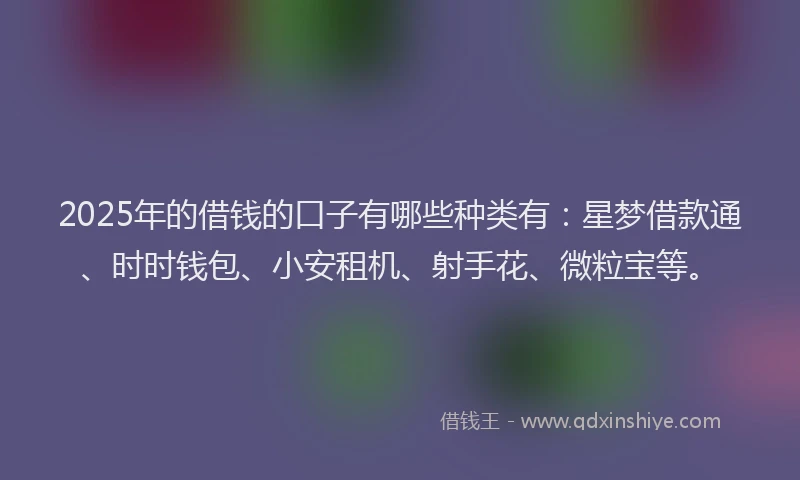 2025年的借钱的口子有哪些种类有：星梦借款通、时时钱包、小安租机、射手花、微粒宝等。