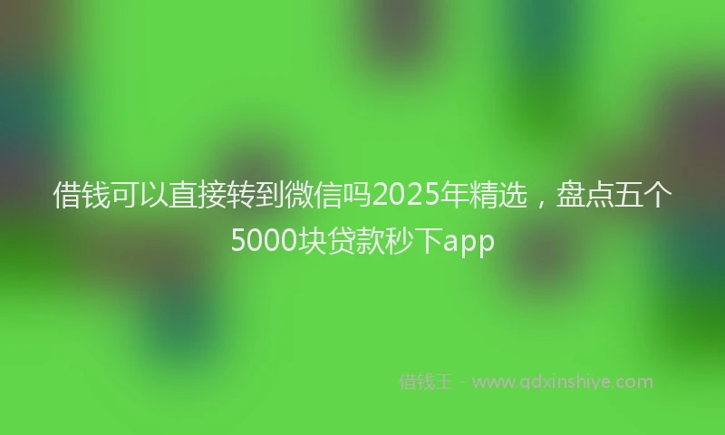 借钱可以直接转到微信吗2025年精选，盘点五个5000块贷款秒下app