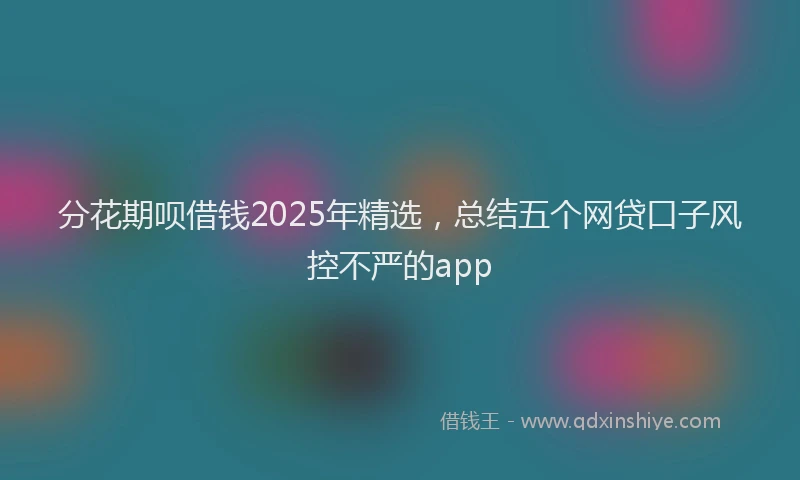 分花期呗借钱2025年精选，总结五个网贷口子风控不严的app