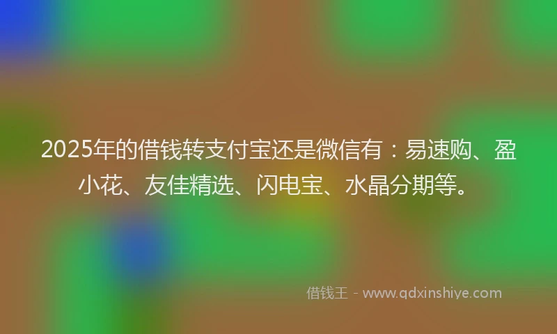 2025年的借钱转支付宝还是微信有：易速购、盈小花、友佳精选、闪电宝、水晶分期等。