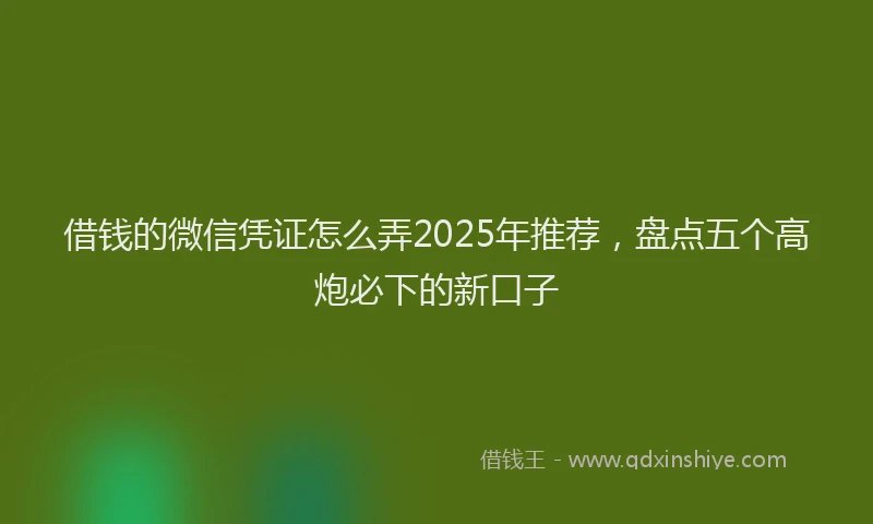 借钱的微信凭证怎么弄2025年推荐，盘点五个高炮必下的新口子