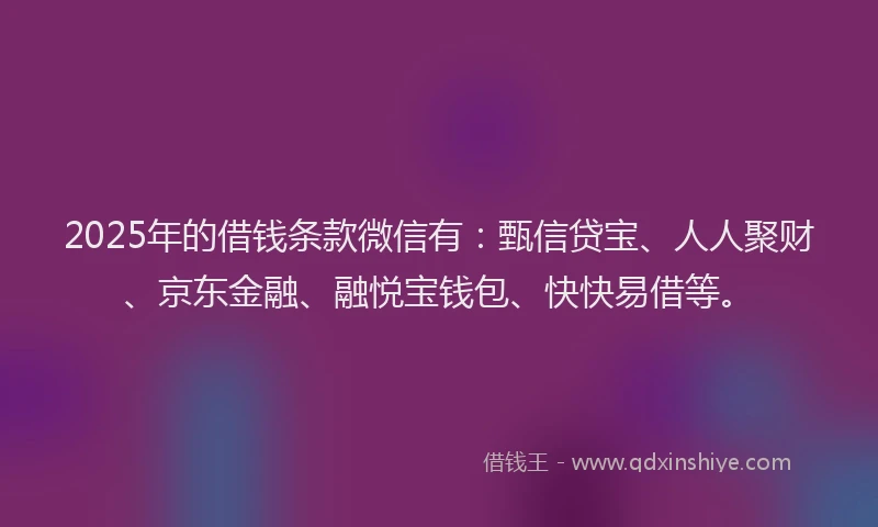 2025年的借钱条款微信有：甄信贷宝、人人聚财、京东金融、融悦宝钱包、快快易借等。