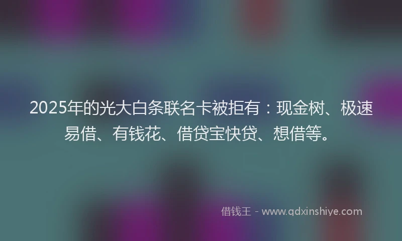 2025年的光大白条联名卡被拒有：现金树、极速易借、有钱花、借贷宝快贷、想借等。