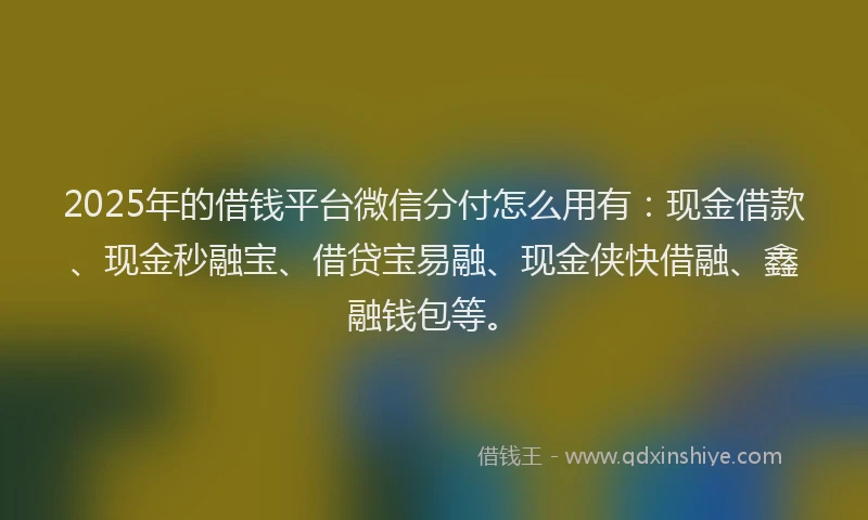 2025年的借钱平台微信分付怎么用有：现金借款、现金秒融宝、借贷宝易融、现金侠快借融、鑫融钱包等。