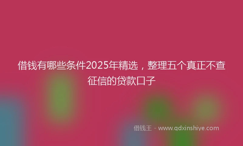 借钱有哪些条件2025年精选，整理五个真正不查征信的贷款口子