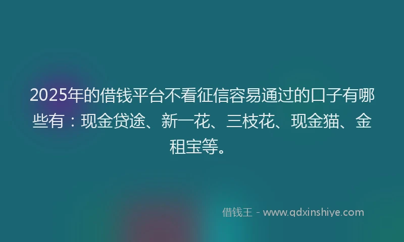 2025年的借钱平台不看征信容易通过的口子有哪些有：现金贷途、新一花、三枝花、现金猫、金租宝等。