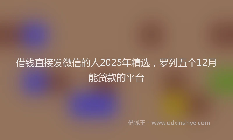 借钱直接发微信的人2025年精选，罗列五个12月能贷款的平台
