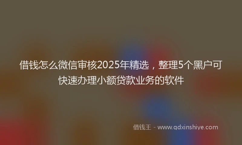 借钱怎么微信审核2025年精选，整理5个黑户可快速办理小额贷款业务的软件