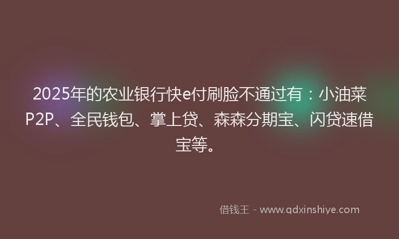 2025年的农业银行快e付刷脸不通过有：小油菜P2P、全民钱包、掌上贷、森森分期宝、闪贷速借宝等。