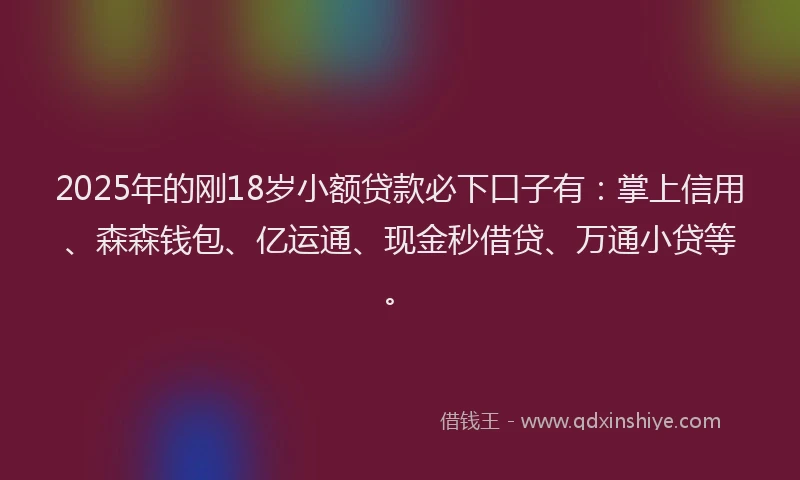 2025年的刚18岁小额贷款必下口子有：掌上信用、森森钱包、亿运通、现金秒借贷、万通小贷等。