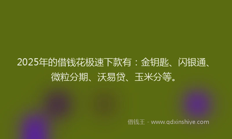 2025年的借钱花极速下款有：金钥匙、闪银通、微粒分期、沃易贷、玉米分等。