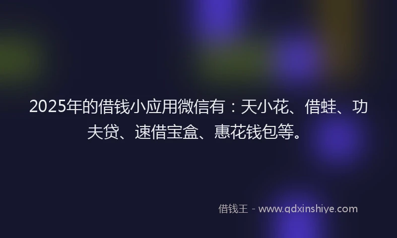 2025年的借钱小应用微信有：天小花、借蛙、功夫贷、速借宝盒、惠花钱包等。