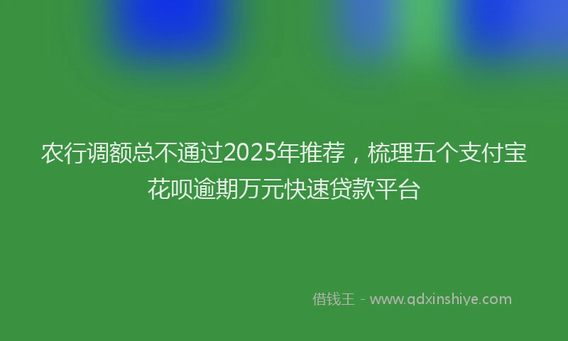 农行调额总不通过2025年推荐，梳理五个支付宝花呗逾期万元快速贷款平台