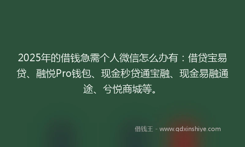 2025年的借钱急需个人微信怎么办有：借贷宝易贷、融悦Pro钱包、现金秒贷通宝融、现金易融通途、兮悦商城等。