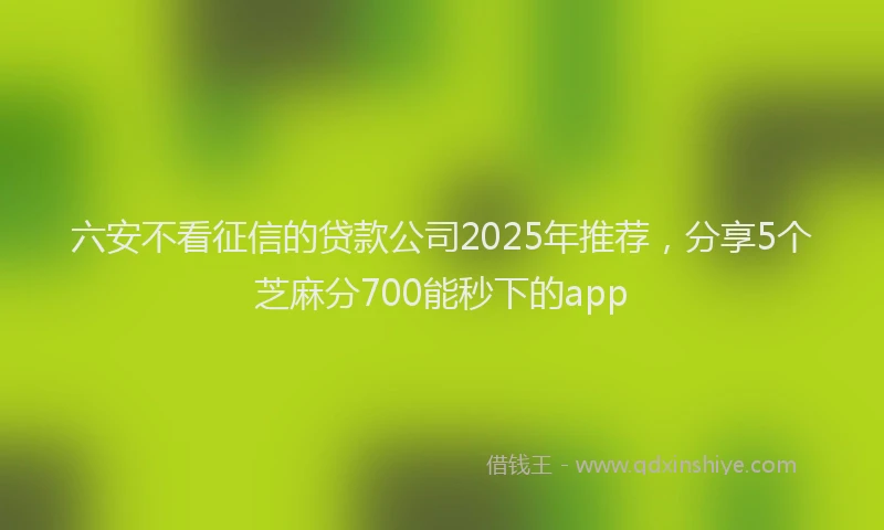 六安不看征信的贷款公司2025年推荐，分享5个芝麻分700能秒下的app