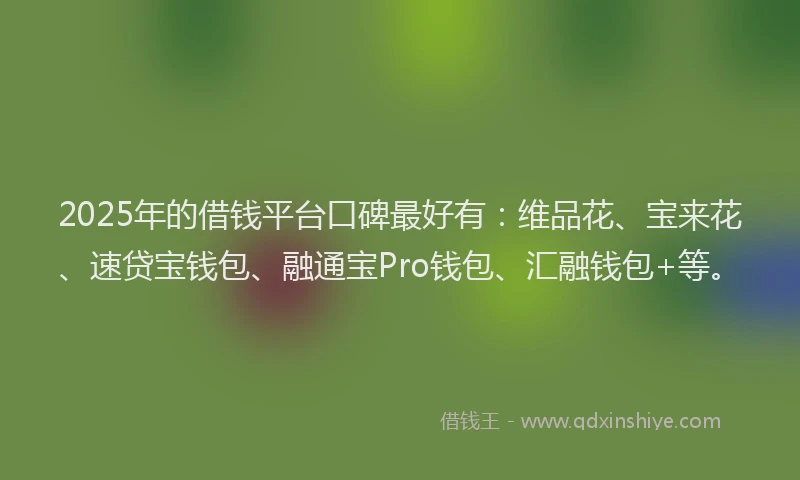 2025年的借钱平台口碑最好有：维品花、宝来花、速贷宝钱包、融通宝Pro钱包、汇融钱包+等。