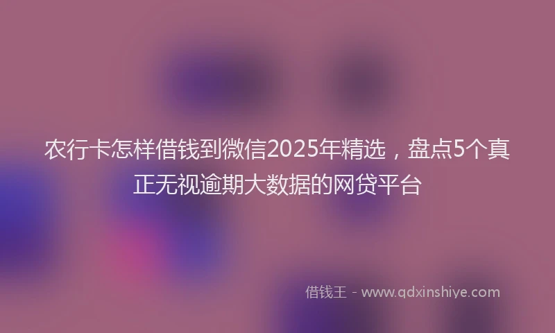 农行卡怎样借钱到微信2025年精选，盘点5个真正无视逾期大数据的网贷平台