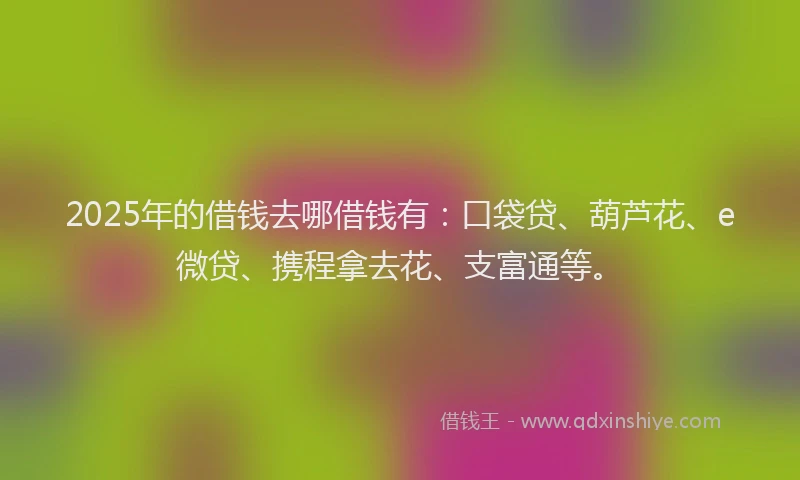 2025年的借钱去哪借钱有：口袋贷、葫芦花、e微贷、携程拿去花、支富通等。