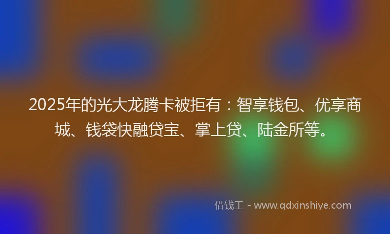 2025年的光大龙腾卡被拒有：智享钱包、优享商城、钱袋快融贷宝、掌上贷、陆金所等。