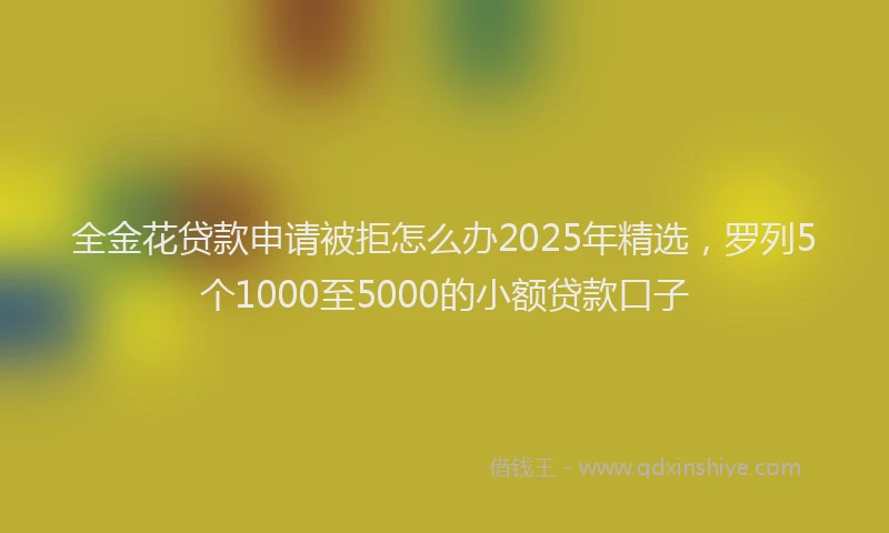 全金花贷款申请被拒怎么办2025年精选，罗列5个1000至5000的小额贷款口子