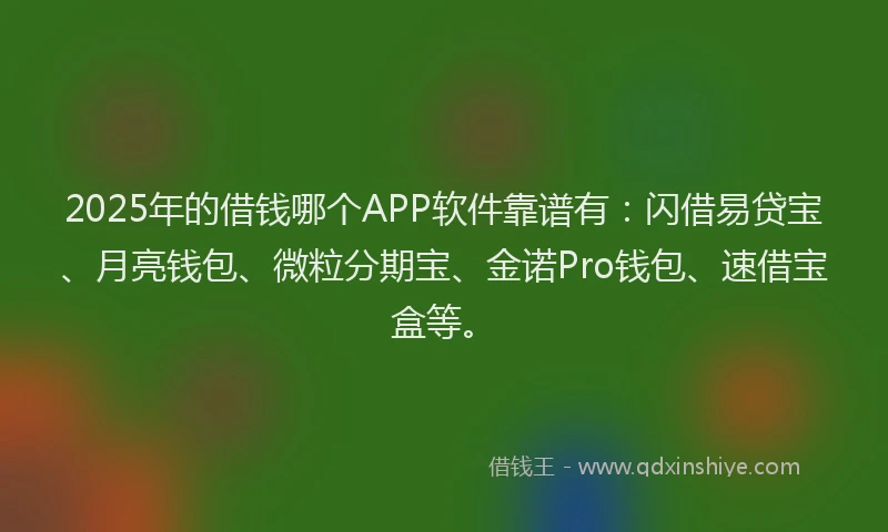 2025年的借钱哪个APP软件靠谱有：闪借易贷宝、月亮钱包、微粒分期宝、金诺Pro钱包、速借宝盒等。