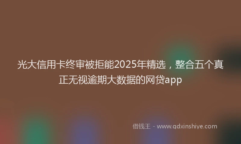 光大信用卡终审被拒能2025年精选，整合五个真正无视逾期大数据的网贷app