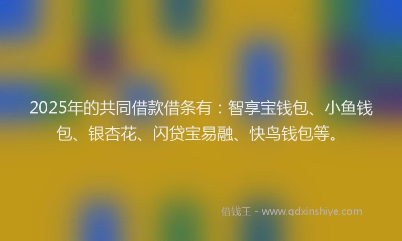 2025年的共同借款借条有：智享宝钱包、小鱼钱包、银杏花、闪贷宝易融、快鸟钱包等。