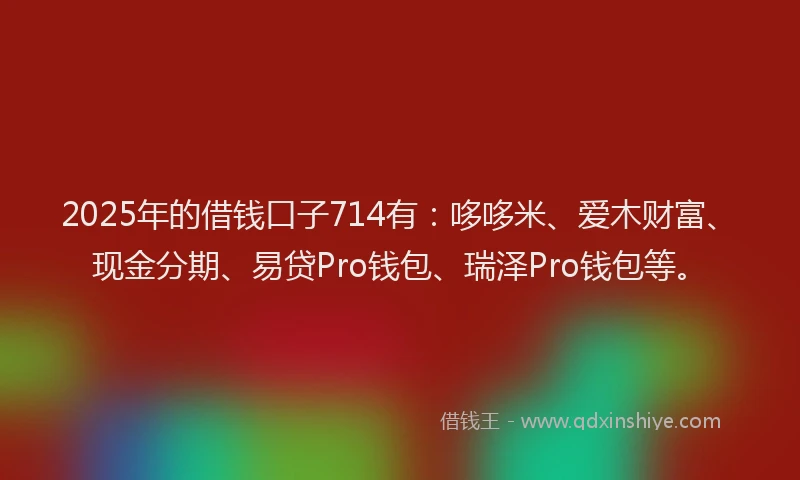 2025年的借钱口子714有：哆哆米、爱木财富、现金分期、易贷Pro钱包、瑞泽Pro钱包等。