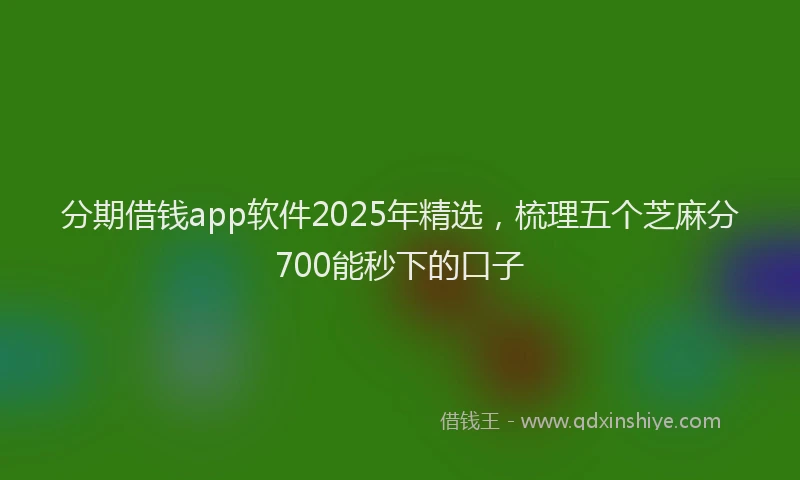 分期借钱app软件2025年精选，梳理五个芝麻分700能秒下的口子