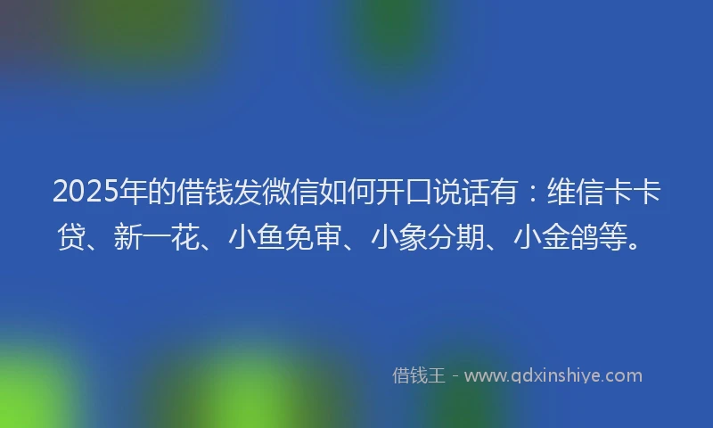 2025年的借钱发微信如何开口说话有：维信卡卡贷、新一花、小鱼免审、小象分期、小金鸽等。