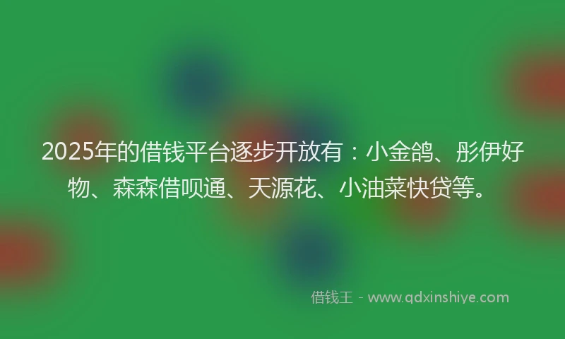 2025年的借钱平台逐步开放有：小金鸽、彤伊好物、森森借呗通、天源花、小油菜快贷等。