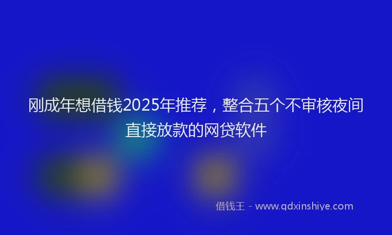 刚成年想借钱2025年推荐，整合五个不审核夜间直接放款的网贷软件