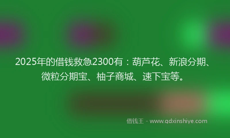 2025年的借钱救急2300有：葫芦花、新浪分期、微粒分期宝、柚子商城、速下宝等。