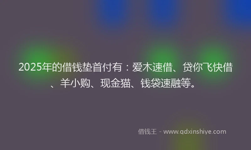 2025年的借钱垫首付有：爱木速借、贷你飞快借、羊小购、现金猫、钱袋速融等。