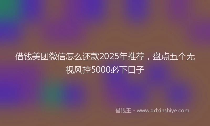 借钱美团微信怎么还款2025年推荐，盘点五个无视风控5000必下口子