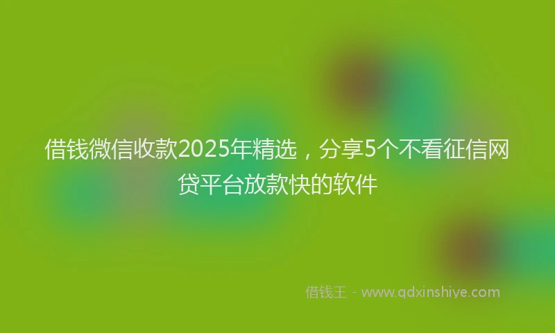借钱微信收款2025年精选，分享5个不看征信网贷平台放款快的软件